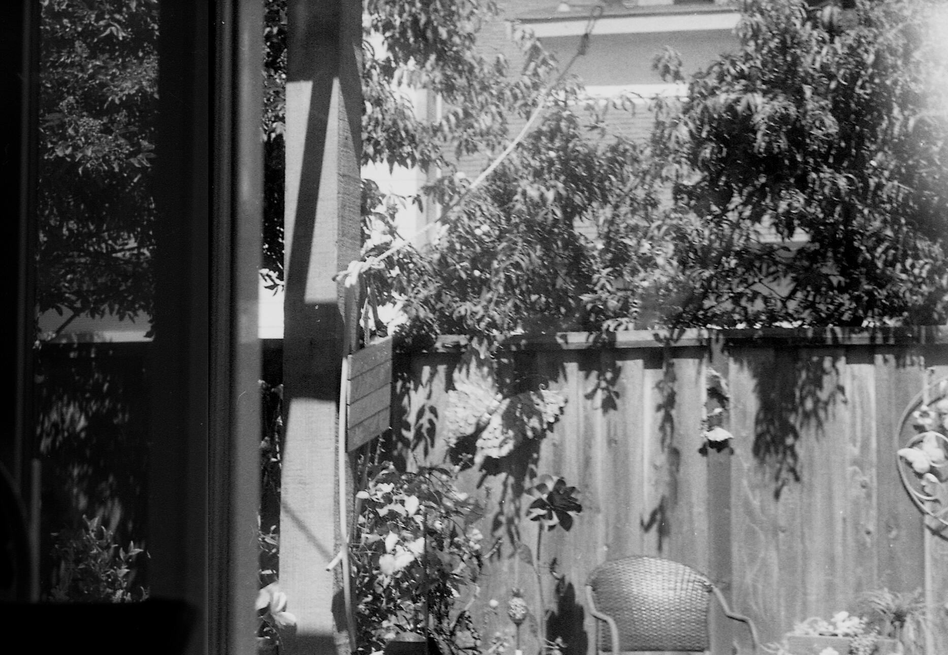 Will Anywhere Feel Like Home?. 2024. Analog Photography. Dimensions Unknown