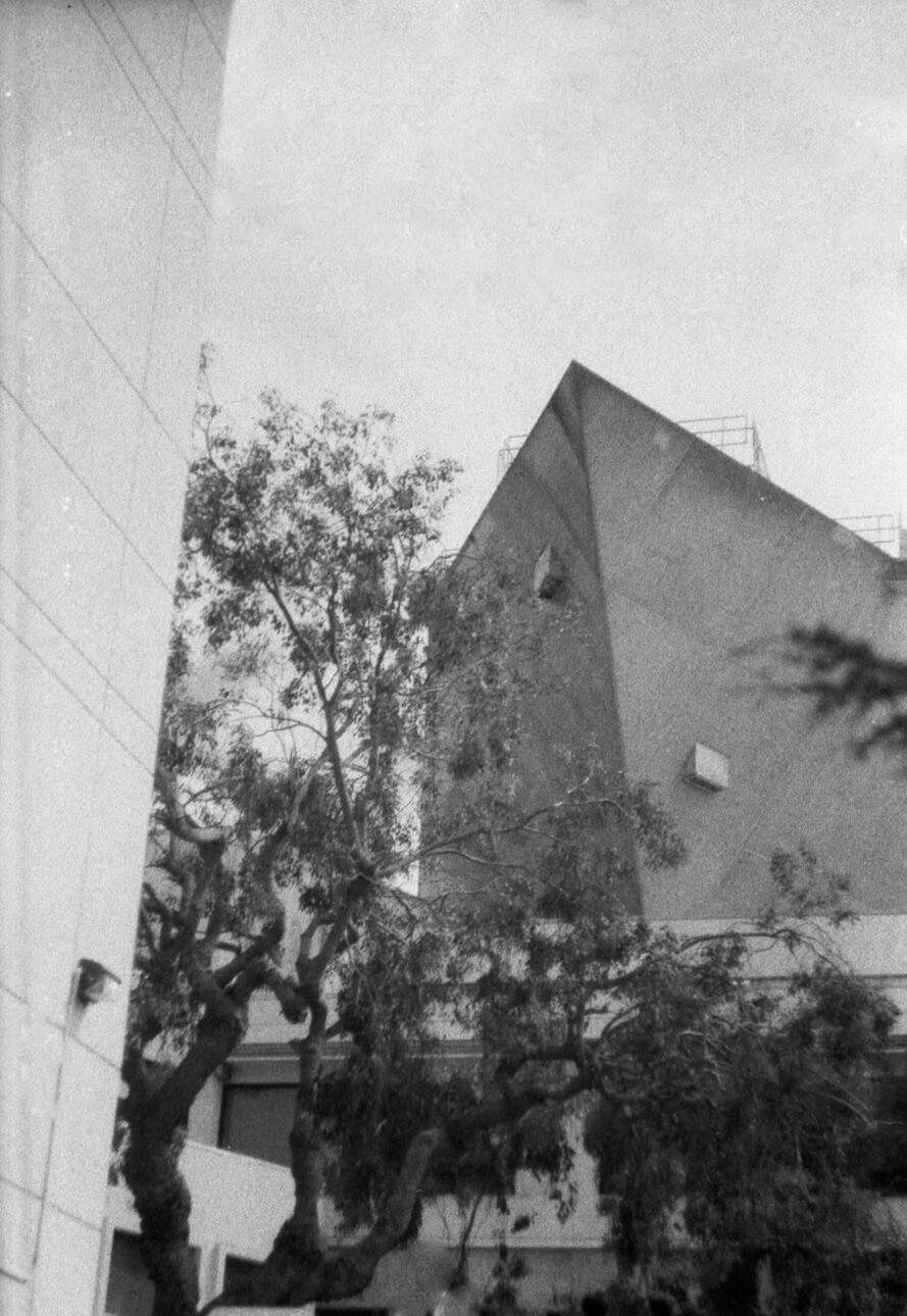 Untitled. 2023. Analog Photography. Dimensions Unknown