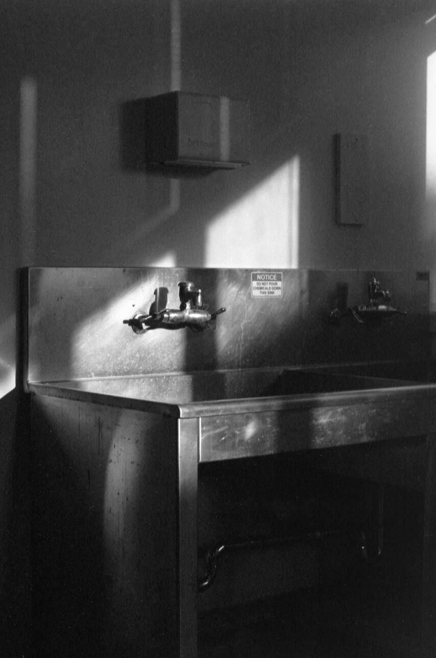 Rotted. 2024. Analog Photography. Dimensions Unknown