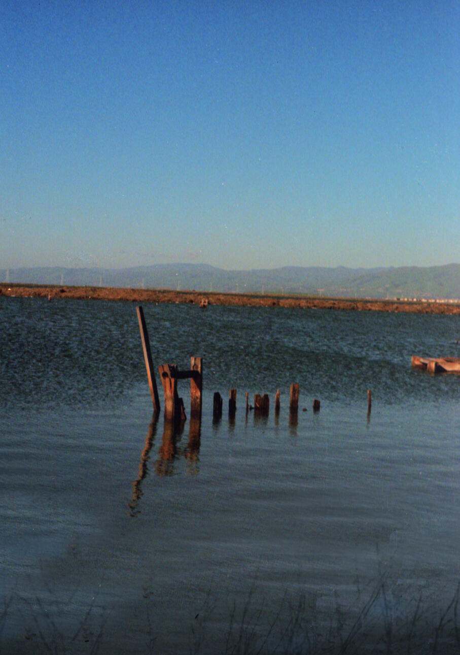 What Once Was. 2024. Analog Photography. Dimensions Unknown