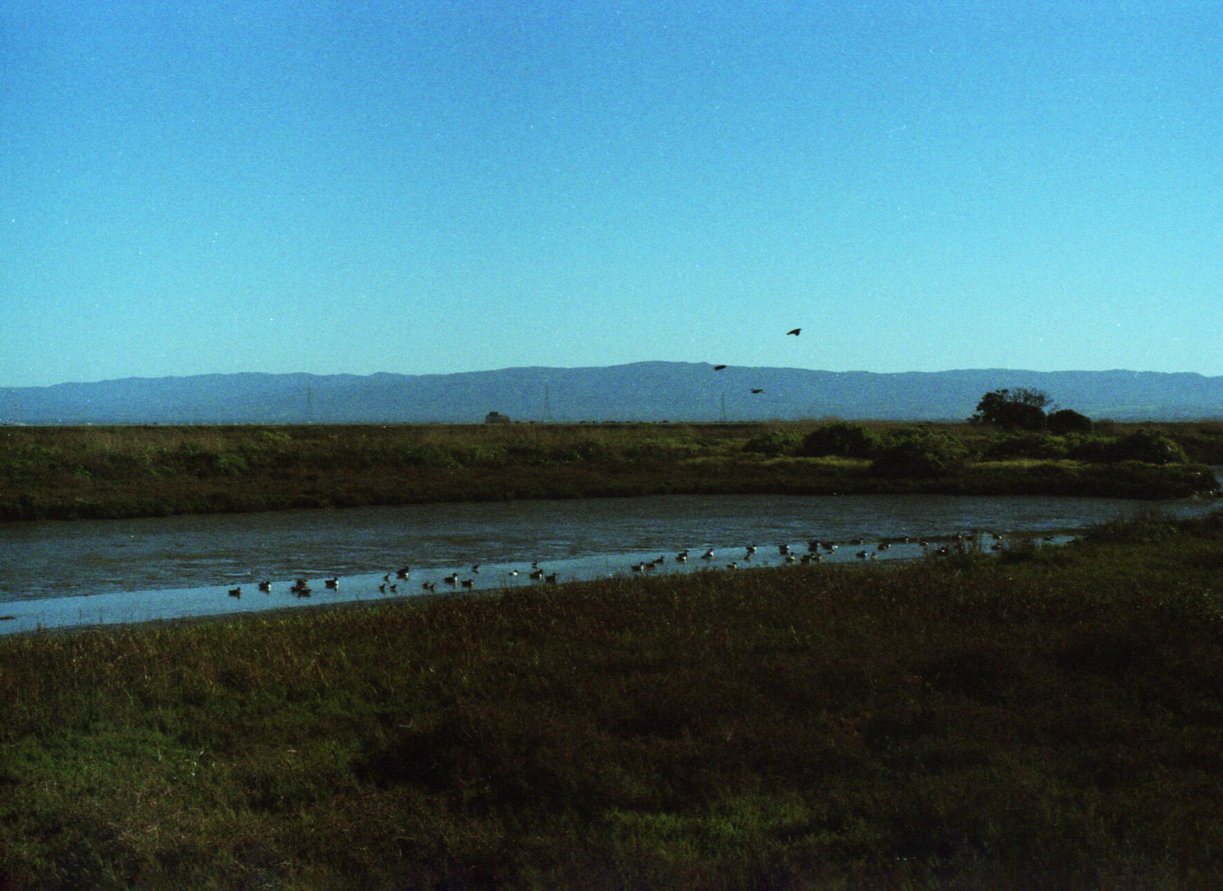 Untitled. 2024. Analog Photography. Dimensions unknown