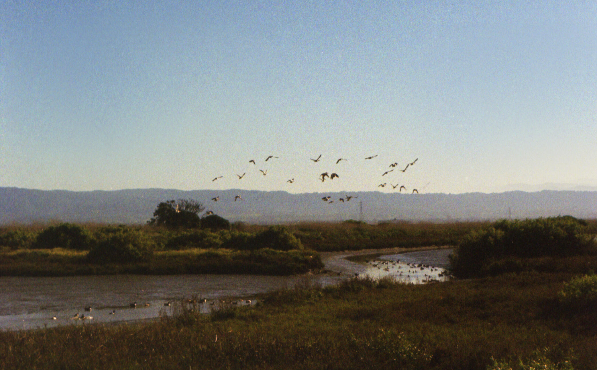 It&#39;s an Illusion. 2024. Analog Photography. Dimensions unknown