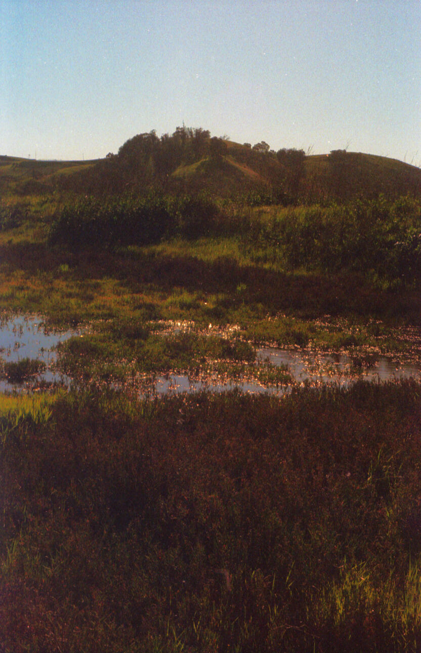 Untitled. 2024. Analog Photography. Dimensions unknown